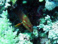 IMG-1631