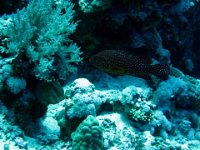 IMG-1690