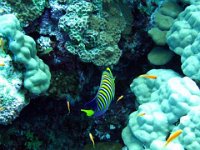 IMG-1714