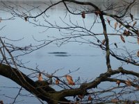 starnbergersee 03.04.2011 -08