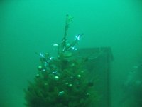 116-Attersee-05.01.2011-06