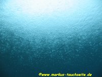 148 - gruener-see - 09.06.2012- 035