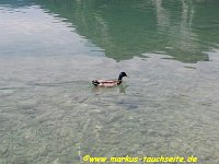 147-Walchensee - 07.06.2012- 026