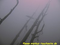 Attersee- 005 : Attersee - 24.03.2012
