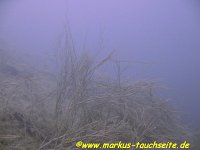 Attersee- 014 : Attersee - 24.03.2012