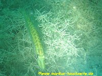 161 - Attersee - 29.09.2012- 001