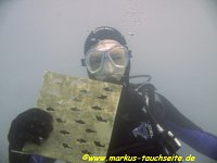 159 - Attersee- 08.09.2012- 072