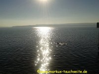 186 - Bodensee 06.12. - 08.12.2013-75