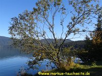 181 - Walchensee - 03.10.2013-2