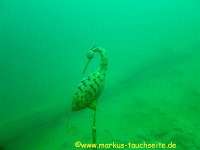 195 - Attersee-3