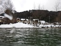 Attersee-12.01.2017-002