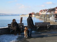 Bodensee-07.01.2017-005