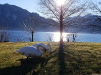 02Attersee-01.02.2020