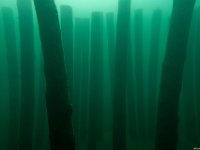 07Attersee-22.02.2020