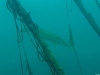 05Attersee-29.052021