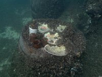 25Bodensee-05.-07.11.2021